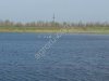 Рыбное хозяйство