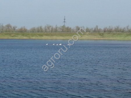 Рыбное хозяйство