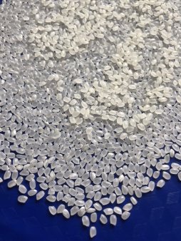 рис круглозерный сорт japonica