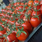 Помидоры