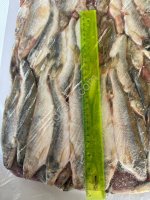 Корюшка нр 20+ икряная