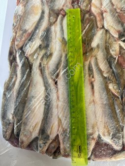 Корюшка нр 19+ икряная