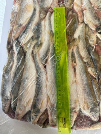 Корюшка нр 20+ икряная