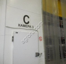 Рыба мороженая в ассортименте