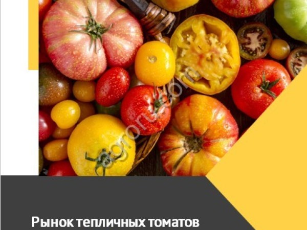 Рынок тепличных томатов России-2023. Исследование и прогнозы для бизнеса