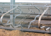 Стойловое место ординарный ТА