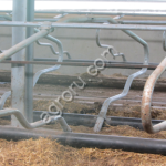 Стойловое место ординарный ТА