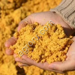 Барда кукурузная