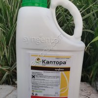 Гербицид каптора