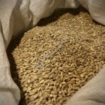 Крупа ячменная перловая №1 (СТО)