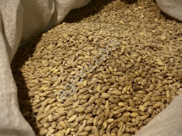 Крупа ячменная перловая №1 (СТО)