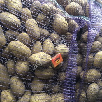 Картофель, фракция 6, вес клубней (г) 150, сорт Королева Анна 