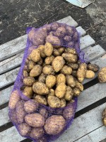 Картофель ОПТОМ, от фермера! калибр (4-6+)