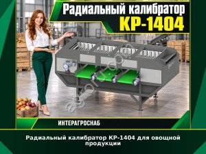Радиальный калибратор КР-1404 для овощной продукции