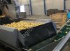 Линия мойки, полировки, калибровки и упаковки овощей в 3 форматах