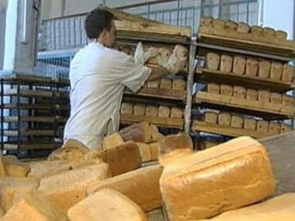 В Приморье бизнес потянуло к земле