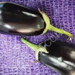 Сетка овощная