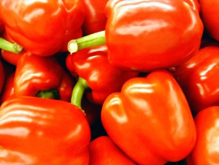 Перец без документов в Югру не прошел