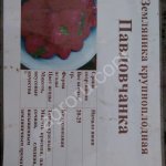 Клубника, молодой картофель