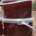 Гречишный мёд