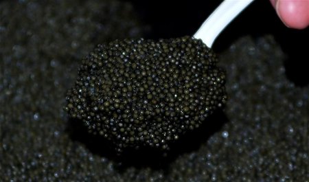 Краткий обзор рынка рыбы