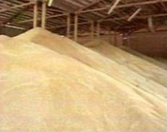 Семь агропредприятий Пермского края получат зерно без торгов