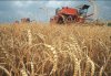 Украина заканчивает сбор урожая