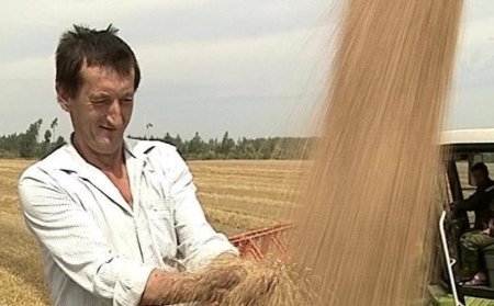 Правительство скрывает распоряжения о продаже зерна из госфонда