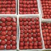 Помидоры оптом от производителя
