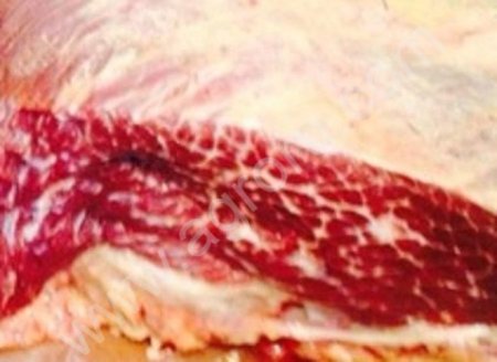 охл. ПОЛУТУШИ быков Абердин-Ангусс