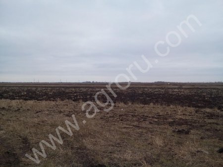 Действующее с/х предприятие 2000 га (пашни)