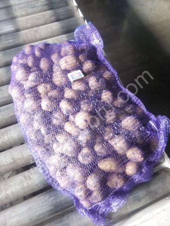 Картофель продовольственный Сорт Гала