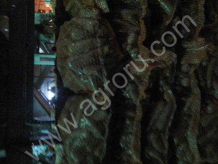 Морковь оптом от производителя!!!