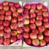 Яблоки сорта Pink Lady Молдова
