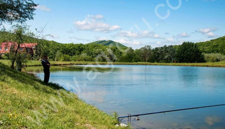 Зарыбленные пруды 23 Га
