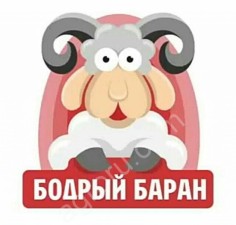 Кролики