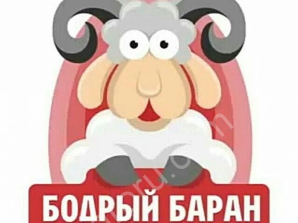 Кролики
