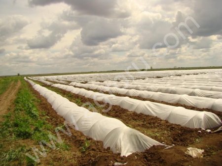 Укрывной материал Агролюкс