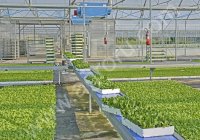 Конвейер тепличный для горшков, лотков (кассет) NTA, NTV Urbinati