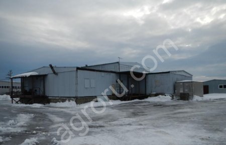 Мясокомбинат с бойней в Нижегородской области.