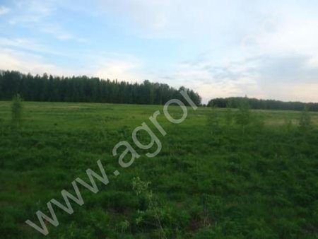 Земля вдоль федеральной трассы