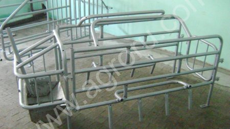 станок опоросный для содержания свиноматок
