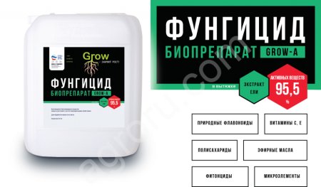 ФУНГИЦИДНОЕ, БАКТЕРИЦИДНОЕ СРЕДСТВО ЗАЩИТЫ РАСТЕНИЙ С РОСТОСТИМУЛИРУЮЩИМИ СВОЙСТВАМИ GROW-A