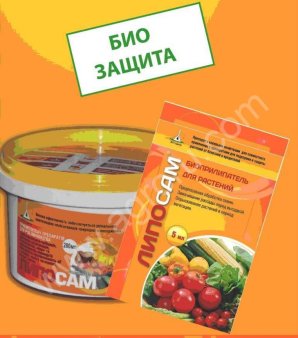 Биоклей Липосам для рапса, гороха, сои, льна, сурепки, рыжика, плодов. от растрескивания