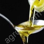 Масло Подсолнечное рафинированное