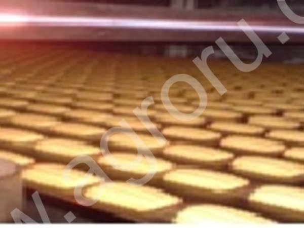 Линия производства печенья