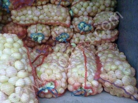 Лук очищенный