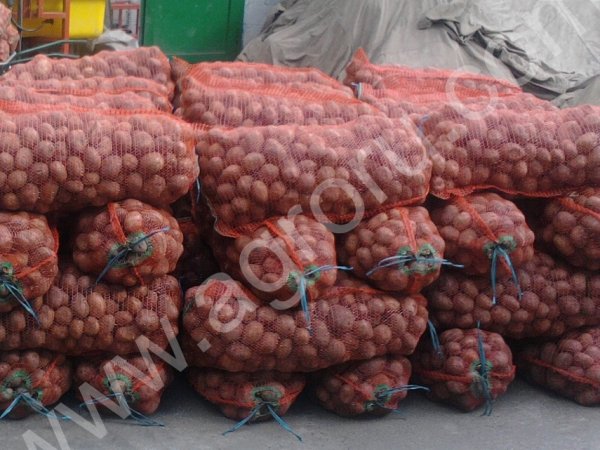 Картофель оптом 5+