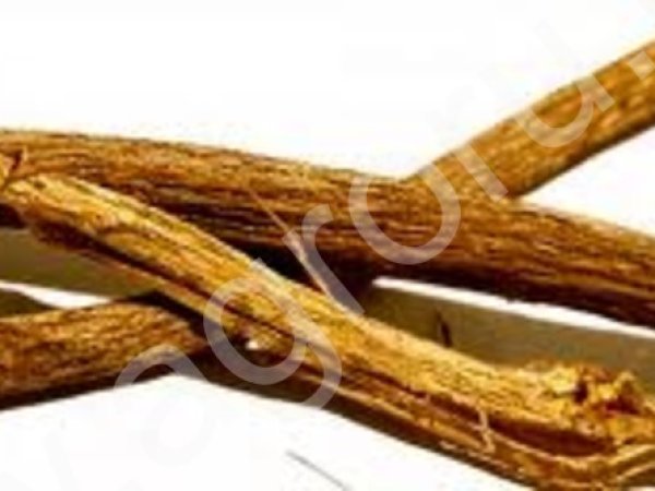 Locorice root / корень солодки