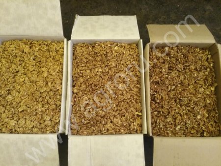 Грецкий орехи,ядра